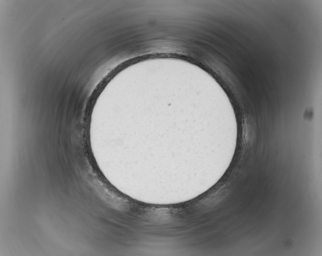 X0000112540828200908311444