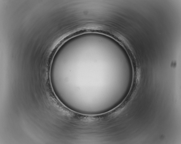 X0000112540829200908311444