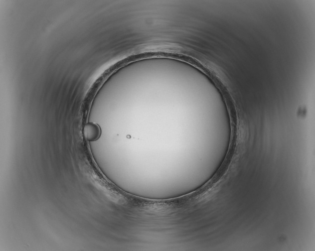 X0000112540830200908311444
