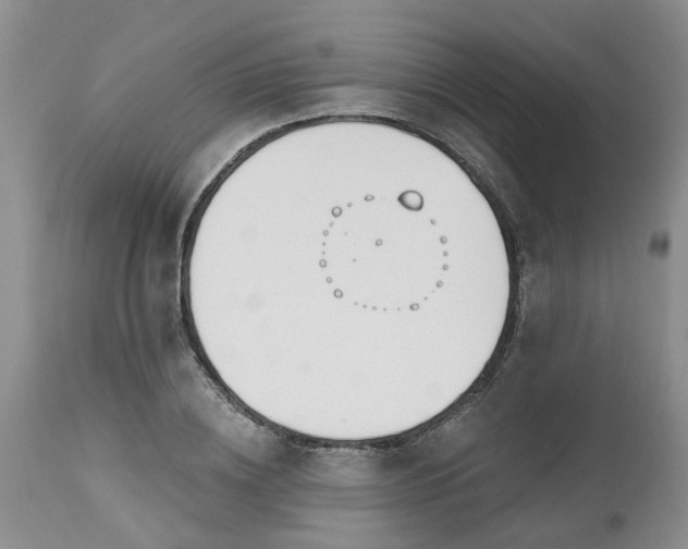 X0000112540836200908311444