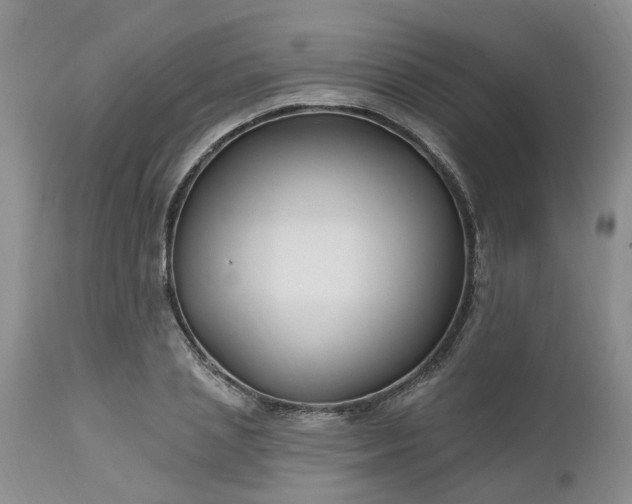 X0000112540837200908311444