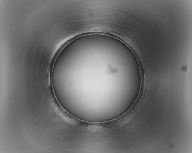 X0000112540838200908311444