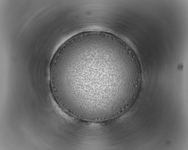 X0000112540839200908311444