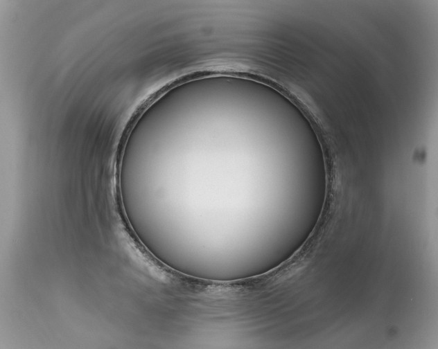 X0000112540840200908311444