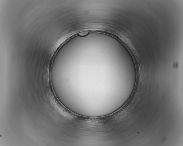X0000112540842200908311444
