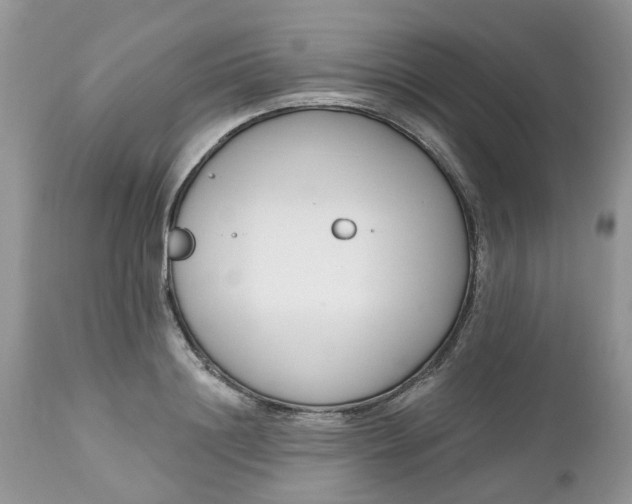 X0000112540844200908311444