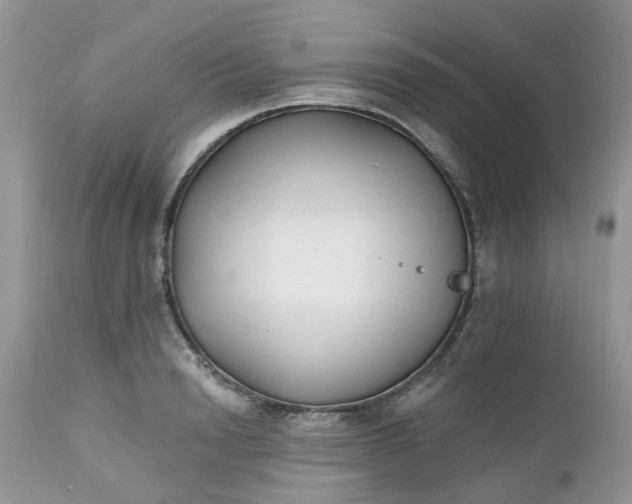 X0000112540846200908311445
