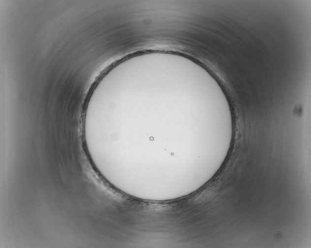 X0000112540848200908311445