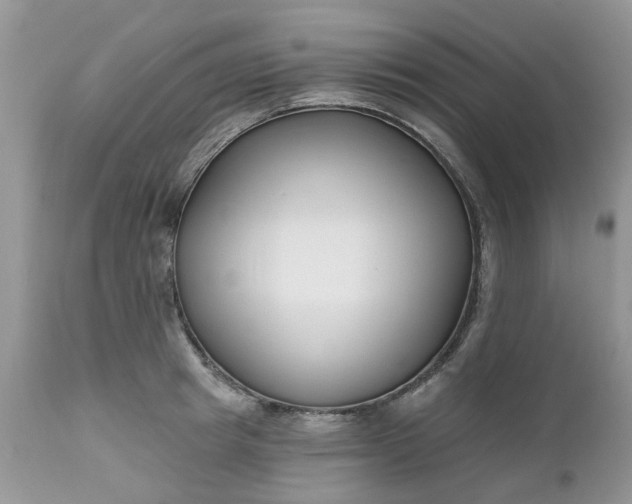 X0000112540849200908311445