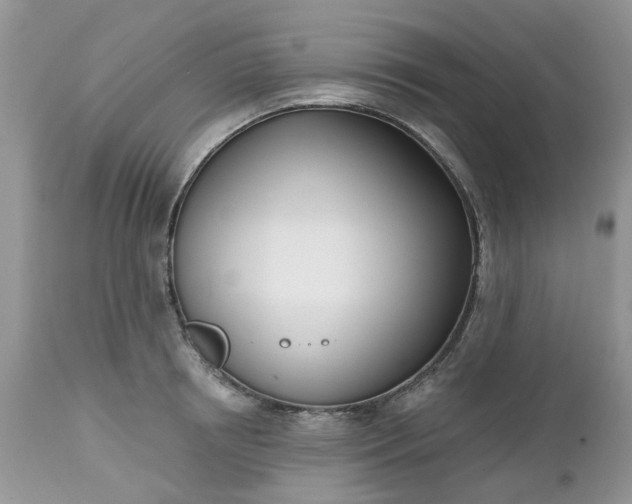 X0000112540850200908311445