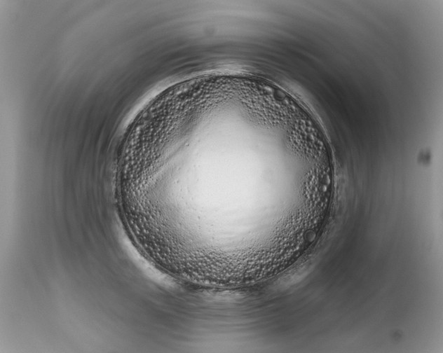 X0000112540851200908311445
