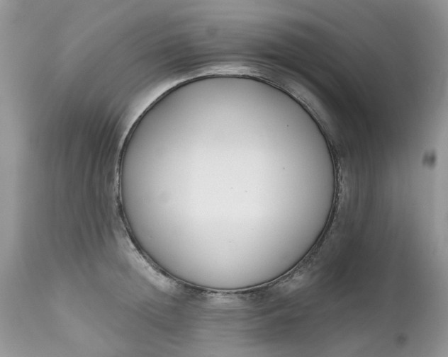 X0000112540852200908311445