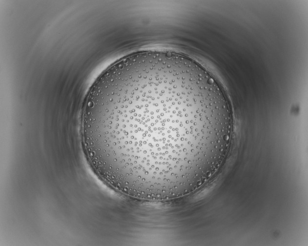 X0000112540855200908311445
