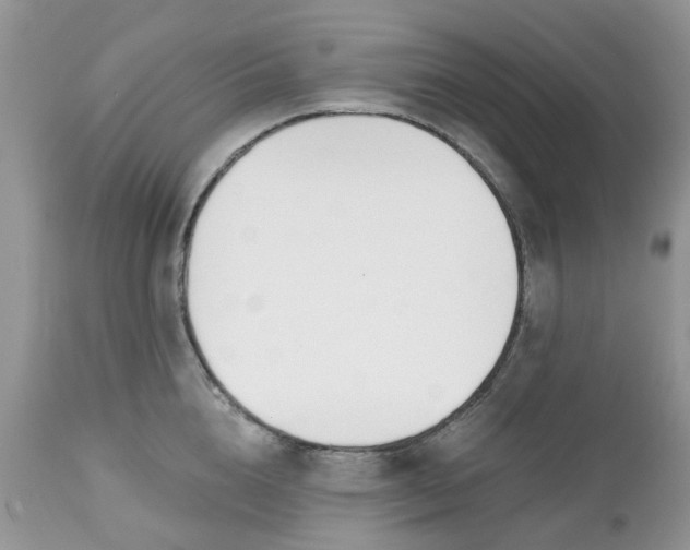 X0000112540856200908311445