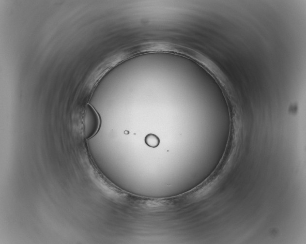X0000112540857200908311445