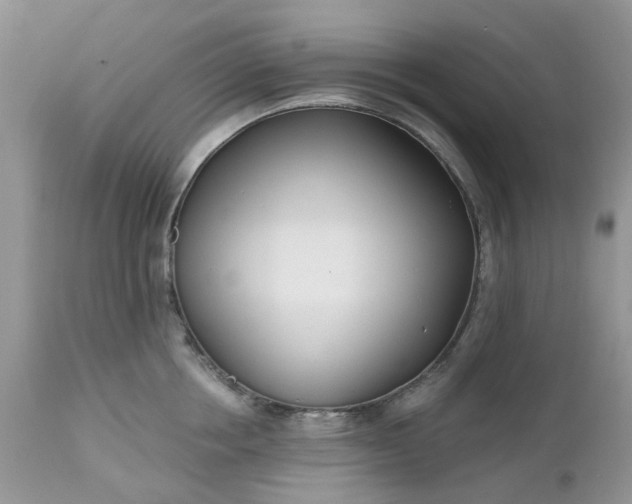 X0000112540858200908311445