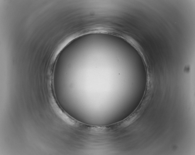 X0000112540859200908311445