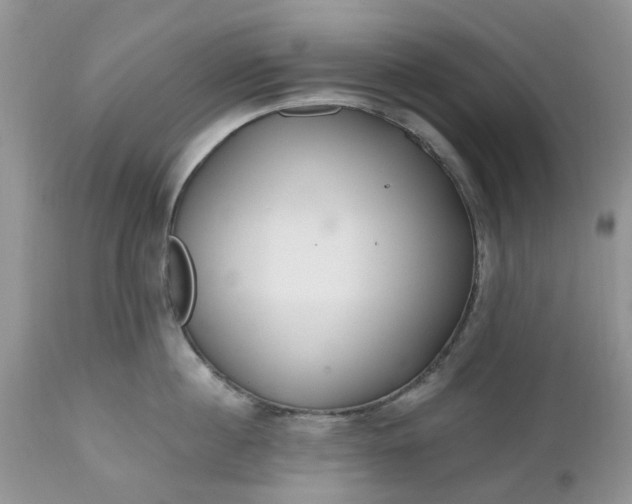 X0000112540860200908311445