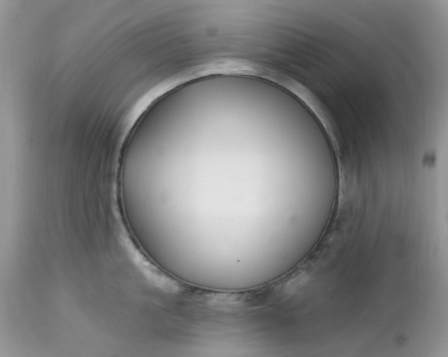 X0000112540861200908311445