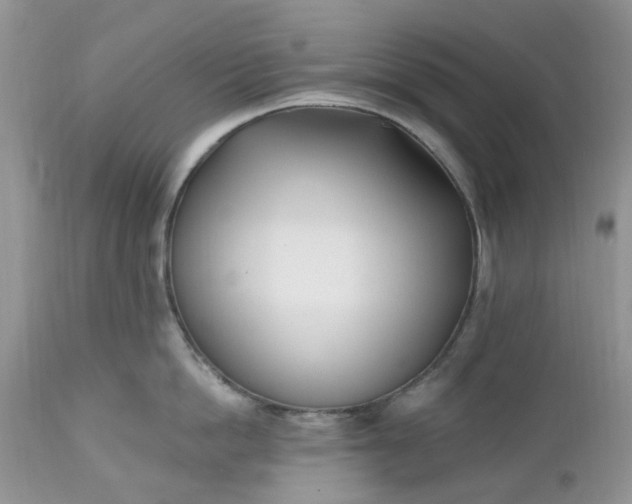 X0000112540862200908311445