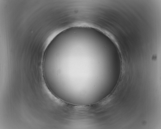 X0000112540863200908311445