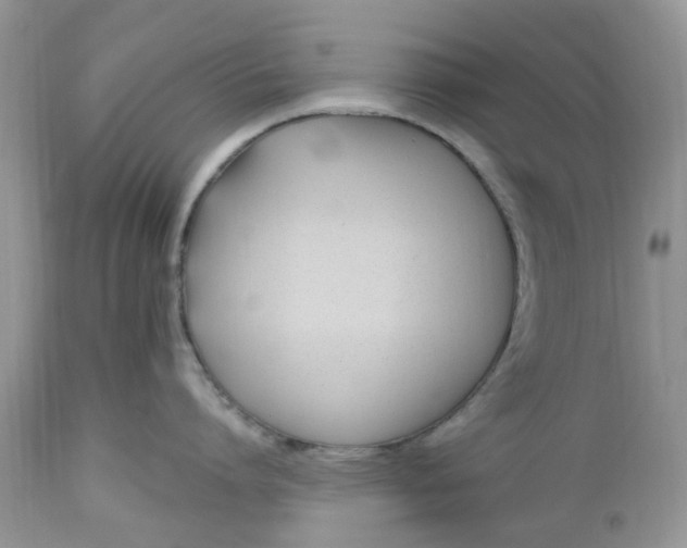 X0000112540864200908311445