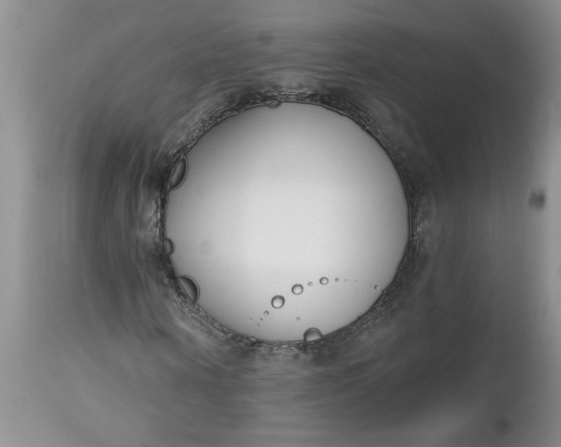 X0000112540866200908311444