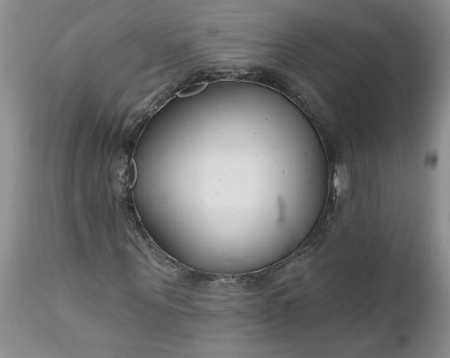 X0000112540867200908311444
