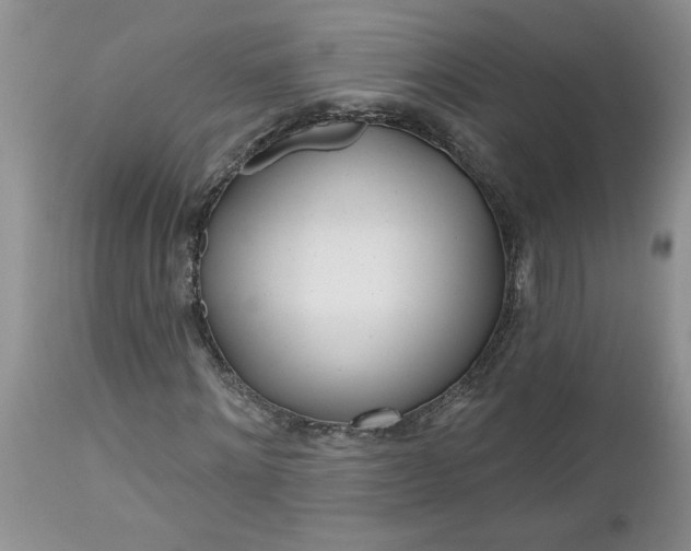 X0000112540868200908311444