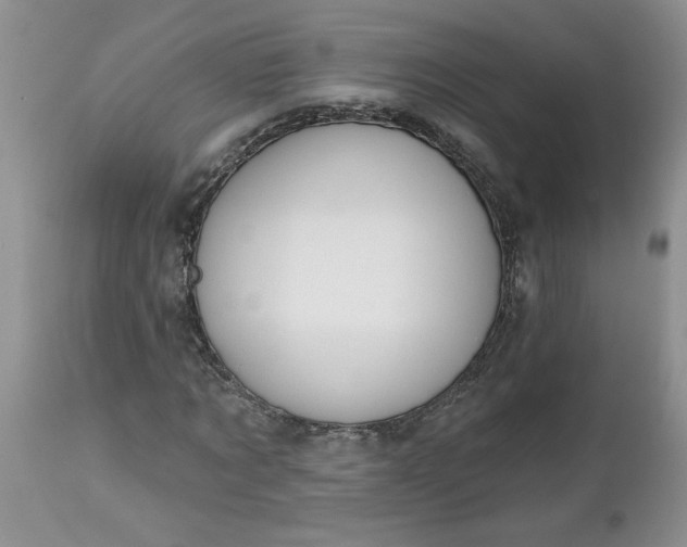X0000112540869200908311444