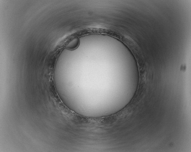 X0000112540870200908311444