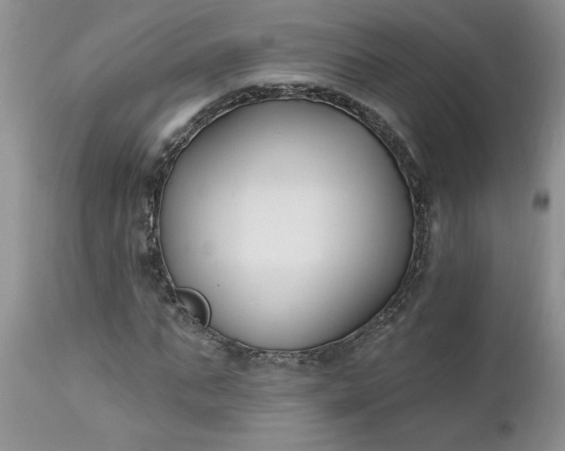 X0000112540871200908311444
