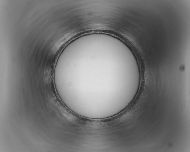 X0000112540873200908311444