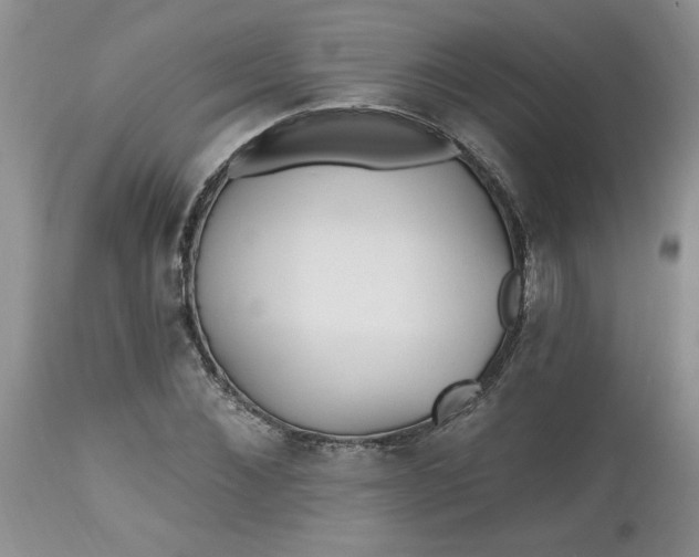 X0000112540876200908311444
