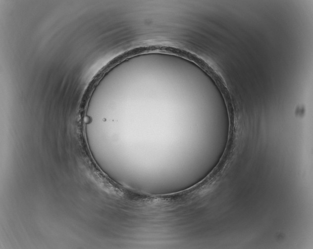 X0000112540879200908311444