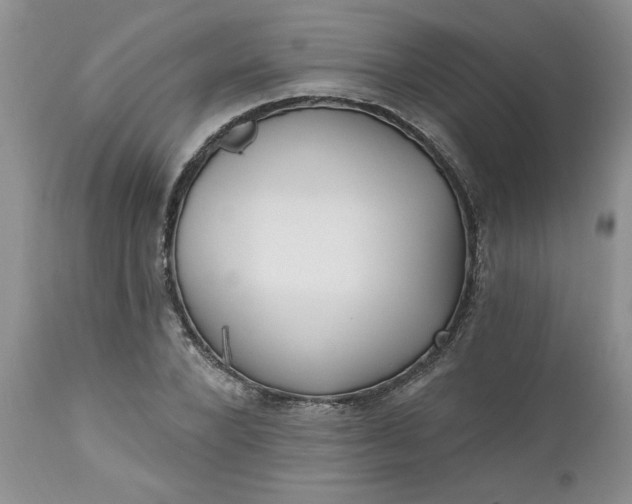 X0000112540880200908311444