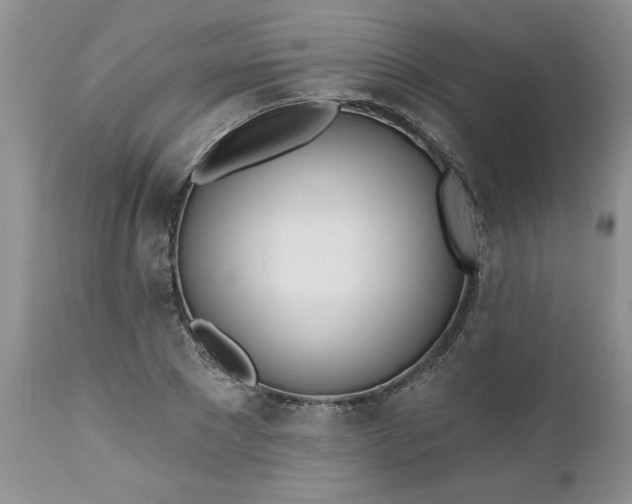 X0000112540881200908311444