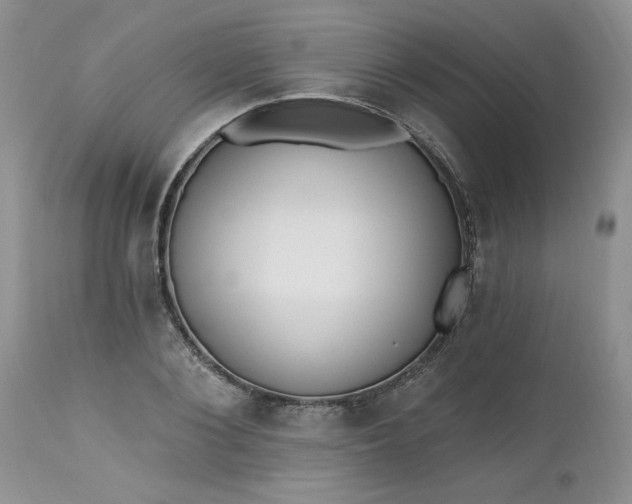 X0000112540884200908311444