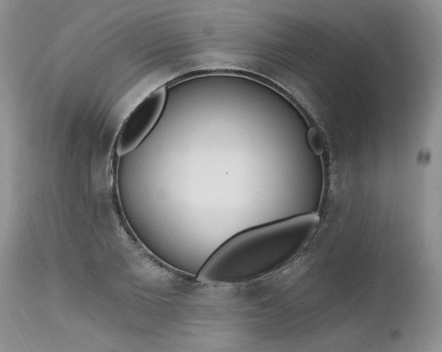 X0000112540885200908311444