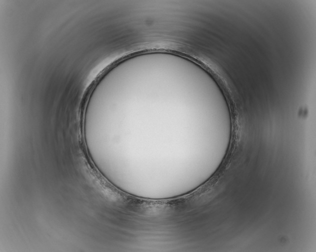 X0000112540886200908311444