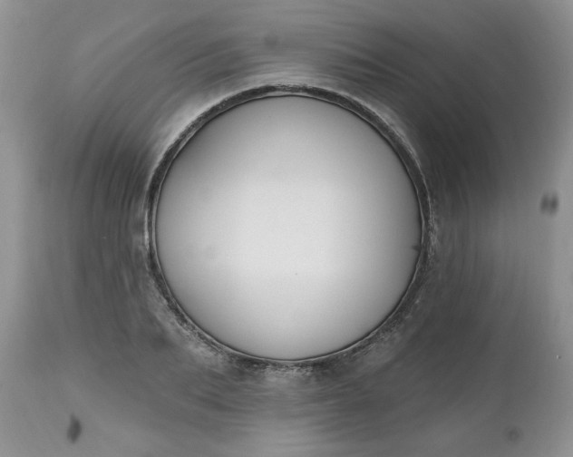 X0000112540887200908311444