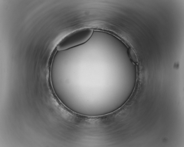 X0000112540888200908311444