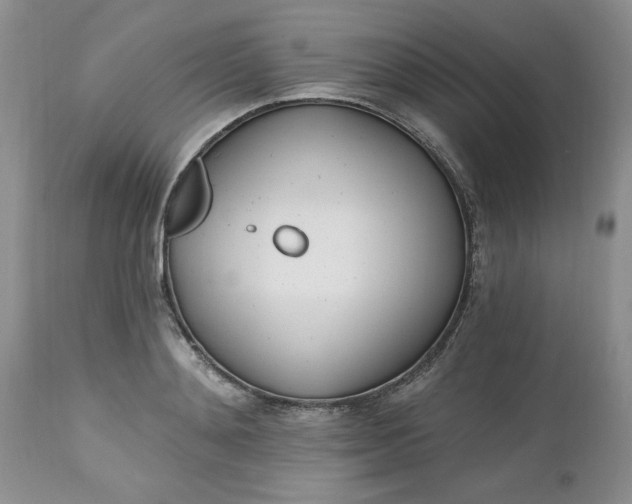 X0000112540892200908311444