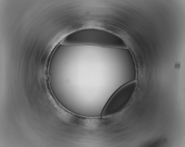 X0000112540893200908311444