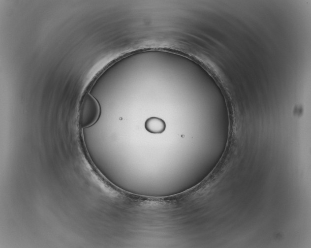 X0000112540894200908311444