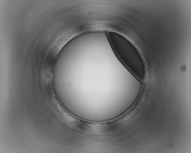 X0000112540897200908311444
