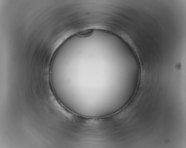 X0000112540898200908311444