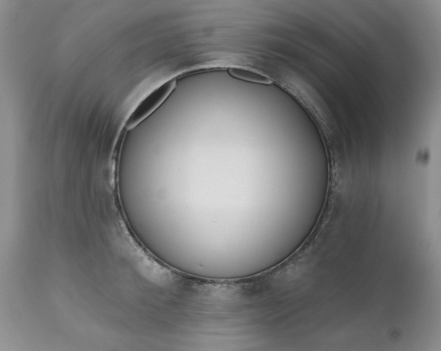 X0000112540900200908311444