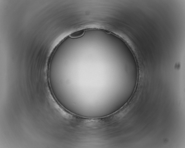 X0000112540902200908311444