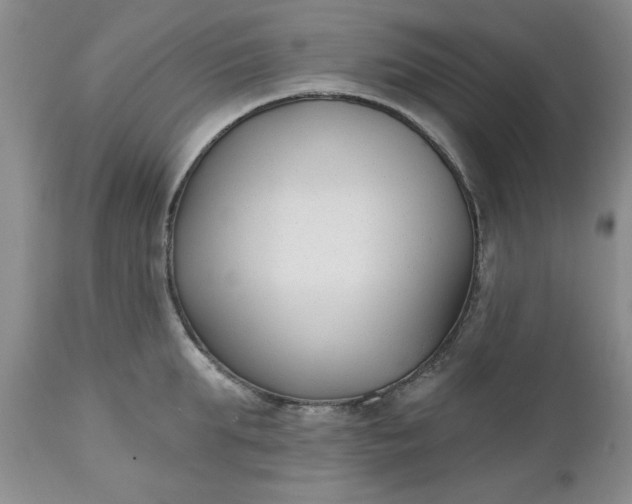 X0000112540903200908311444